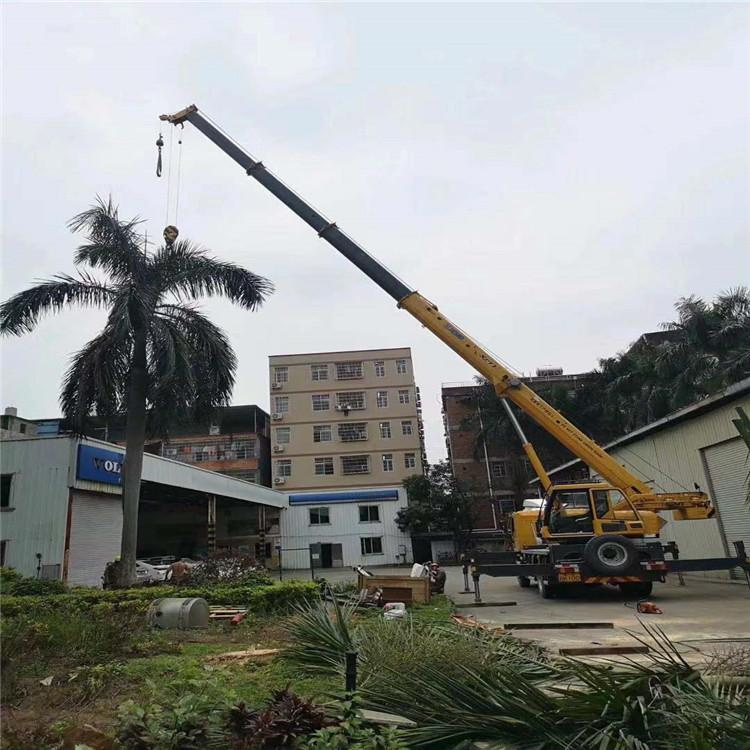 阳原县吊车出租事故案例分析：如何避免设备倾覆风险